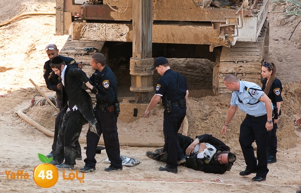 haradeem france hos 629 (2).jpg